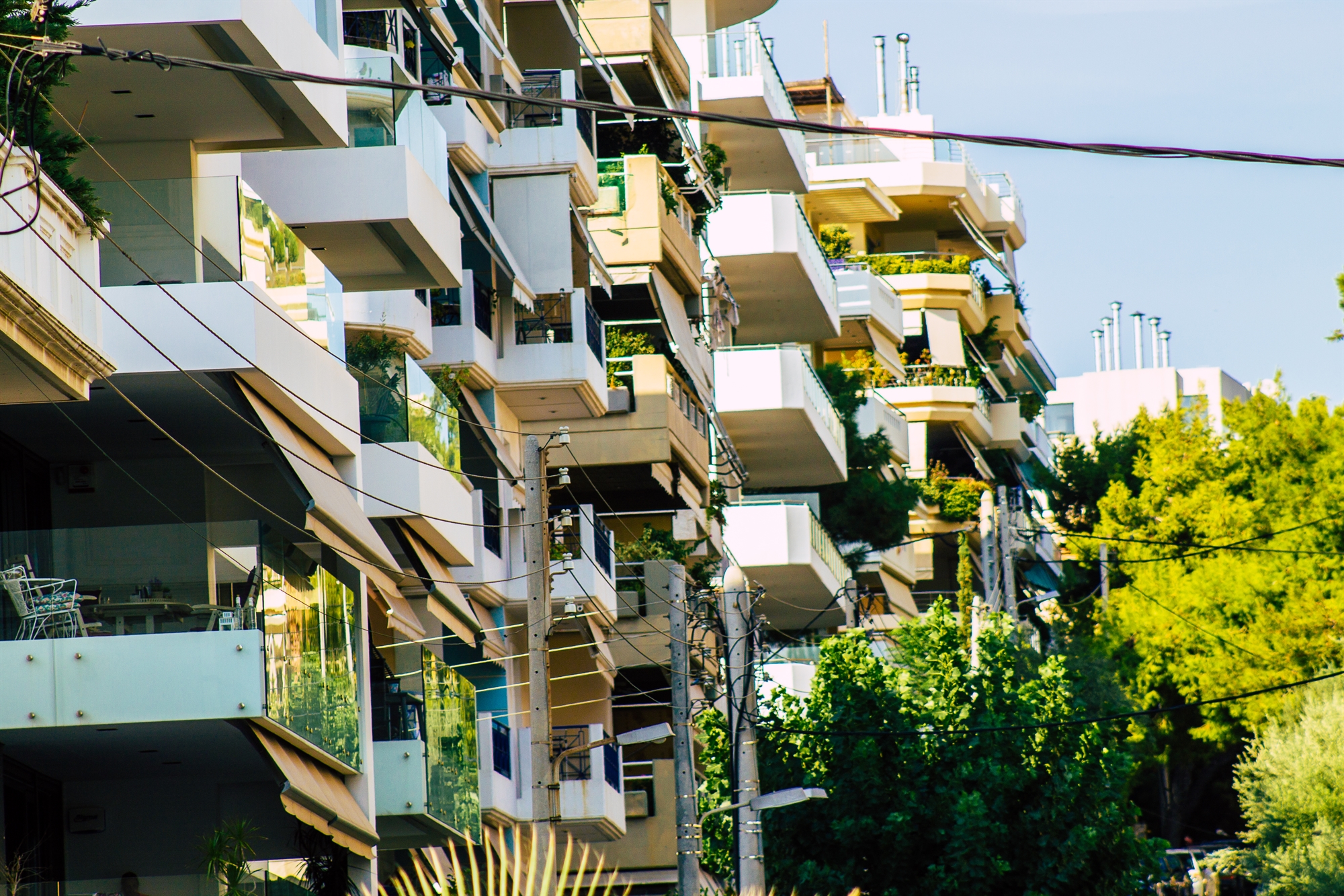 Cbd707691704df05c4763a73c1cffd9f Akineta 19 Kale